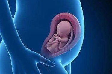 泰国三代试管婴儿费用贵吗？泰国做一次试管需要多少钱？